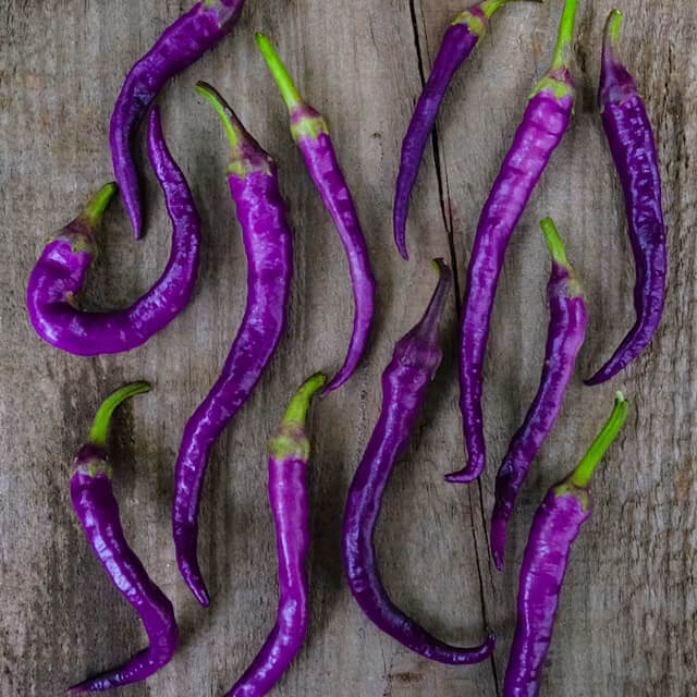 Hot Pepper Seeds – Buena Mulata