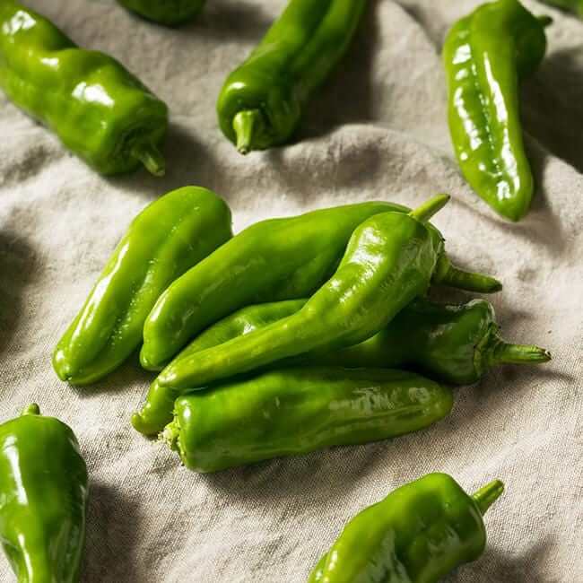 Hot Pepper Seeds - Melrose