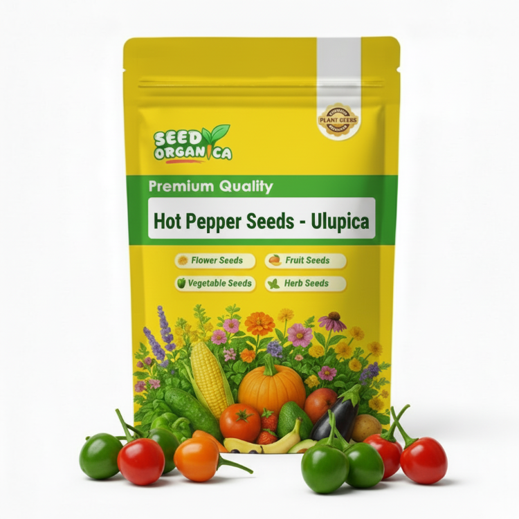 Hot Pepper Seeds - Ulupica