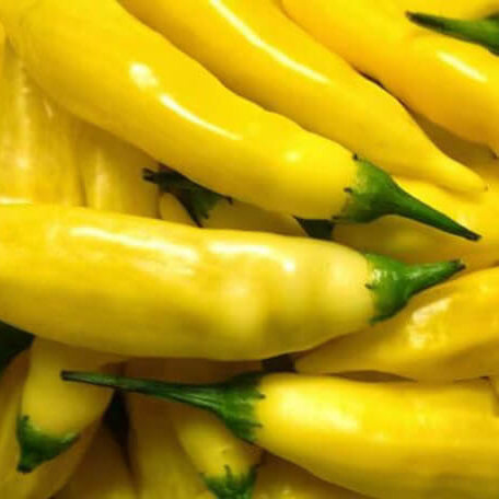 Hot Pepper Seeds – Yellow