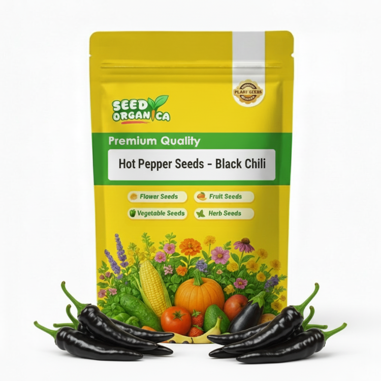 Hot Pepper Seeds – Black Chili