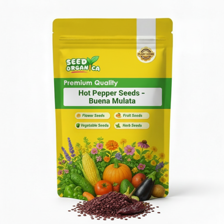 Hot Pepper Seeds – Buena Mulata