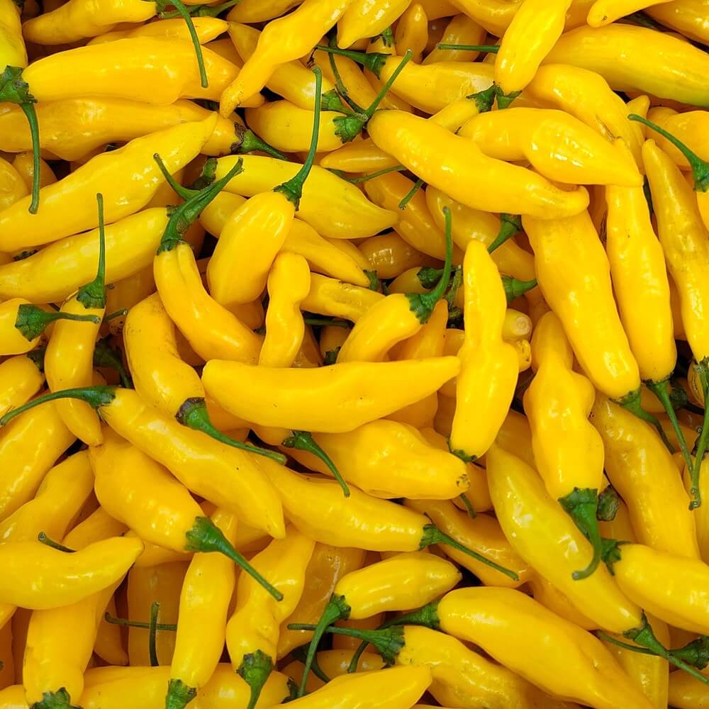 Hot Pepper Seeds – Yellow