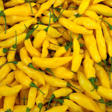Hot Pepper Seeds – Yellow