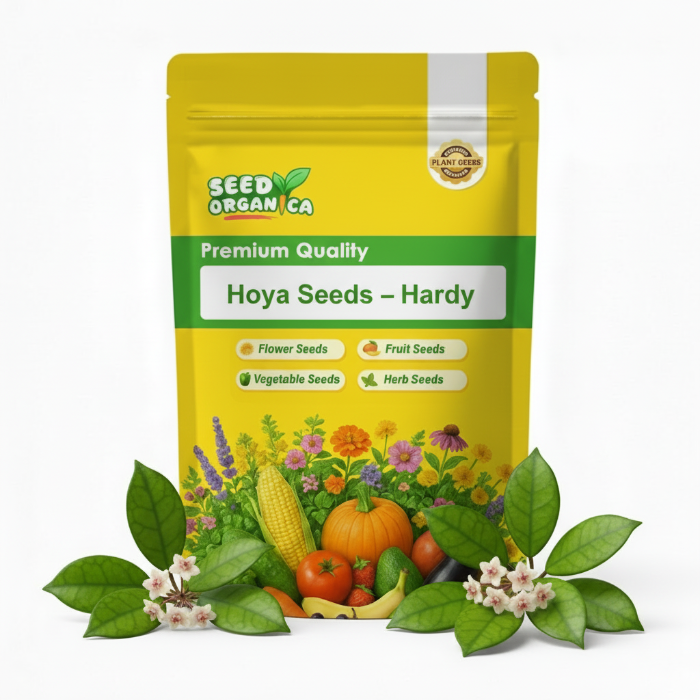 Hoya Seeds – Hardy