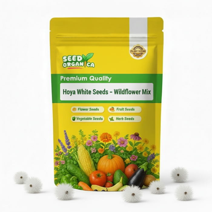 Hoya White Seeds – Wildflower Mix