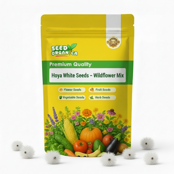 Hoya White Seeds – Wildflower Mix