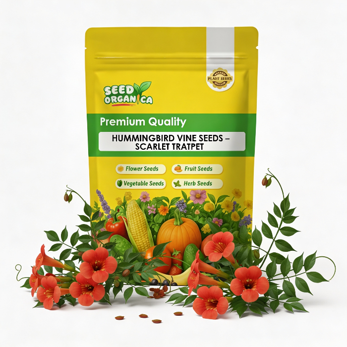 Hummingbird Vine Seeds – Scarlet Trumpet