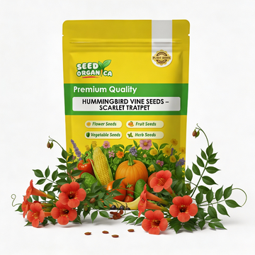 Hummingbird Vine Seeds – Scarlet Trumpet