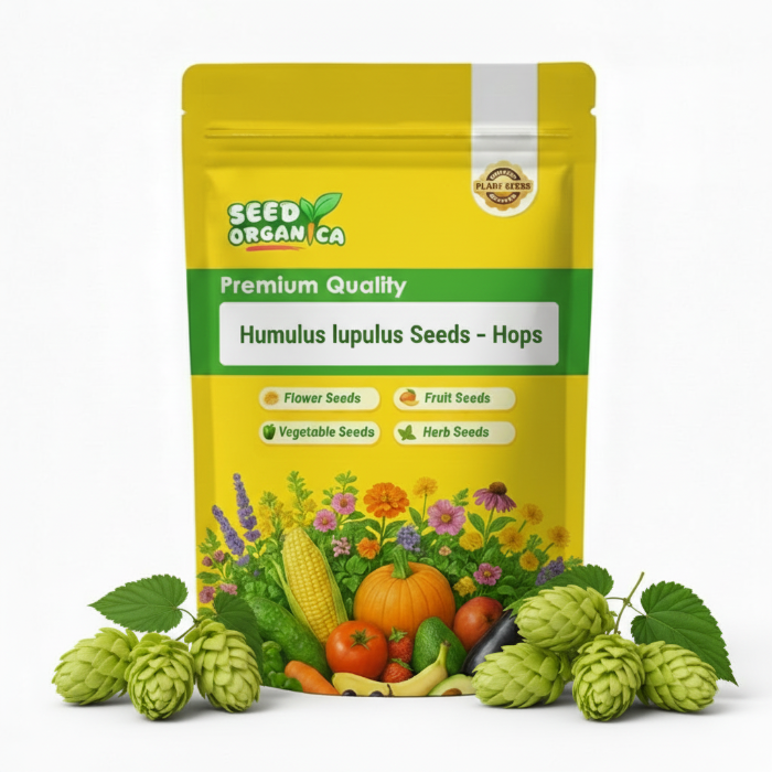 Hops Humulus lupulus Seeds – Flower Plant