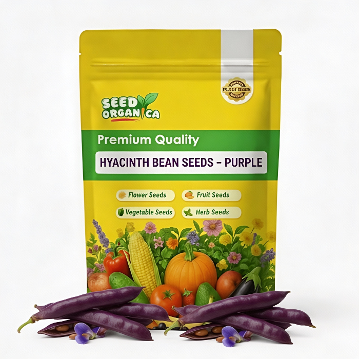 Hyacinth Bean Seeds – Purple