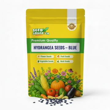 Hydrangea Seeds – Blue