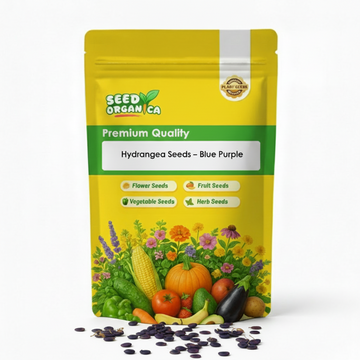 Hydrangea Seeds – Blue Purple