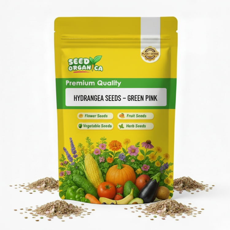 Hydrangea Seeds – Green Pink