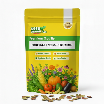 Hydrangea Seeds – Green Red