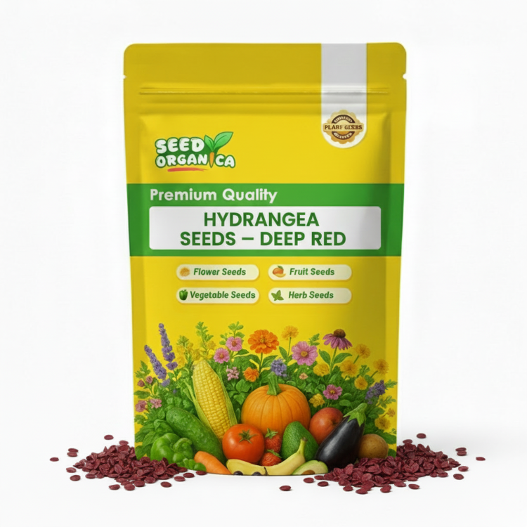 Hydrangea Seeds – Green Red