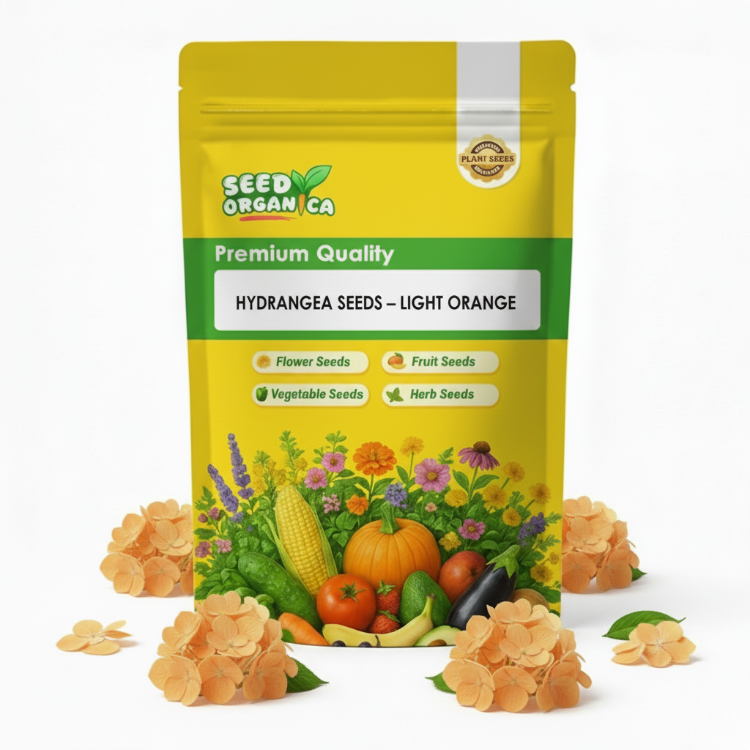 Hydrangea Seeds – Light Orange