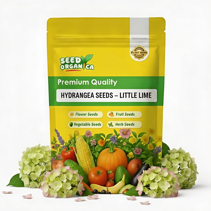 Hydrangea Seeds – Little Lime
