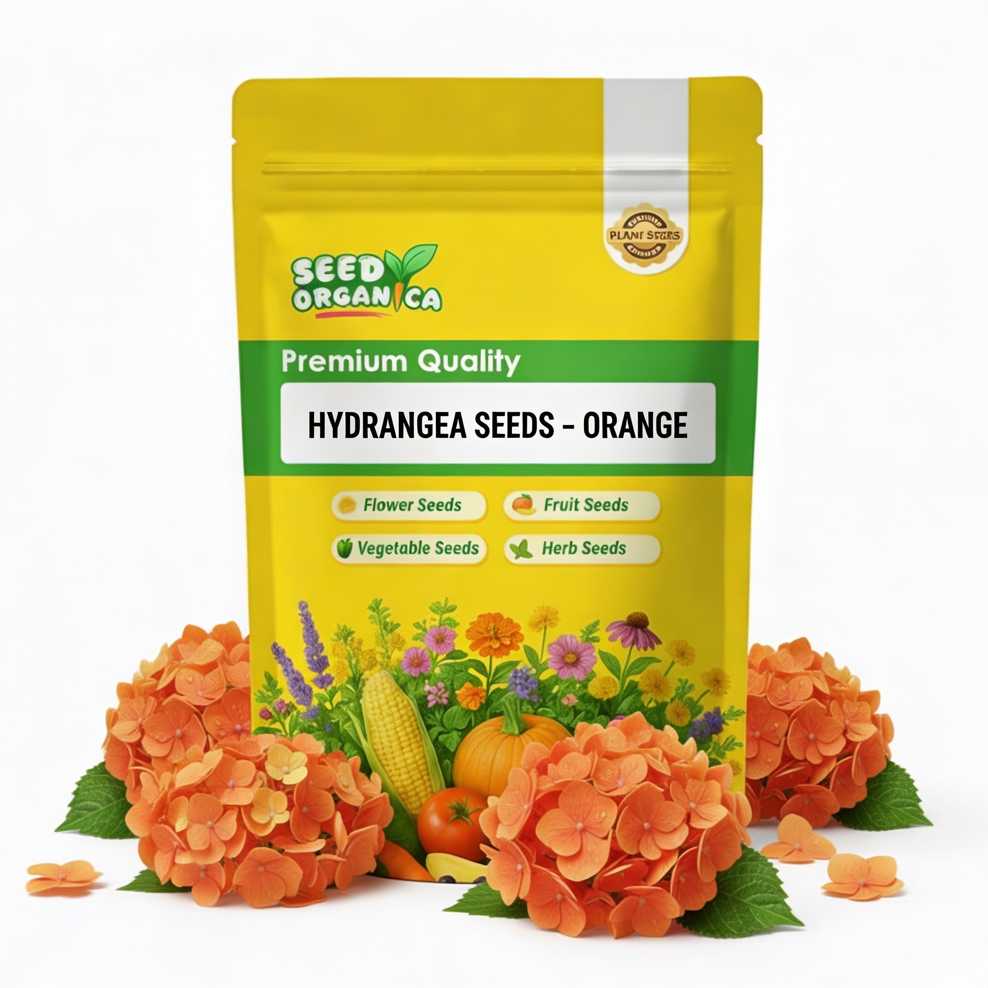 Hydrangea Seeds – Orange