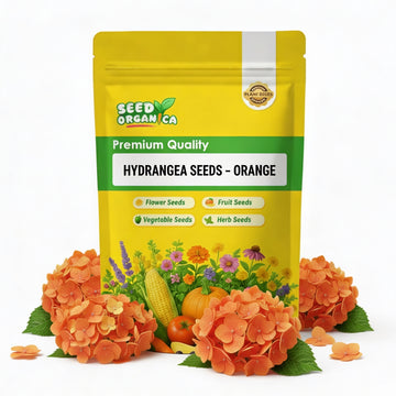 Hydrangea Seeds – Orange