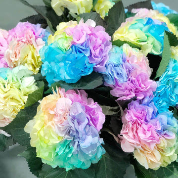 Hydrangea Seeds – Pastel Rainbow