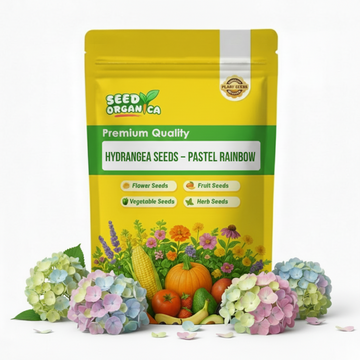 Hydrangea Seeds – Pastel Rainbow