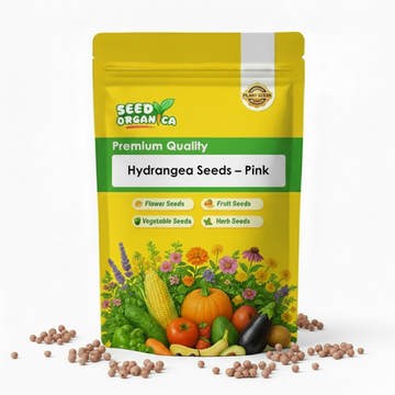 Hydrangea Seeds – Pink