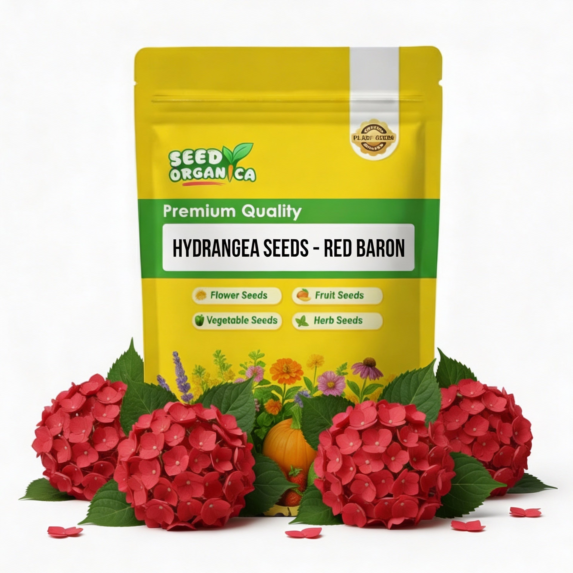 Hydrangea Seeds – Red Baron