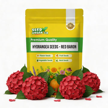 Hydrangea Seeds – Red Baron