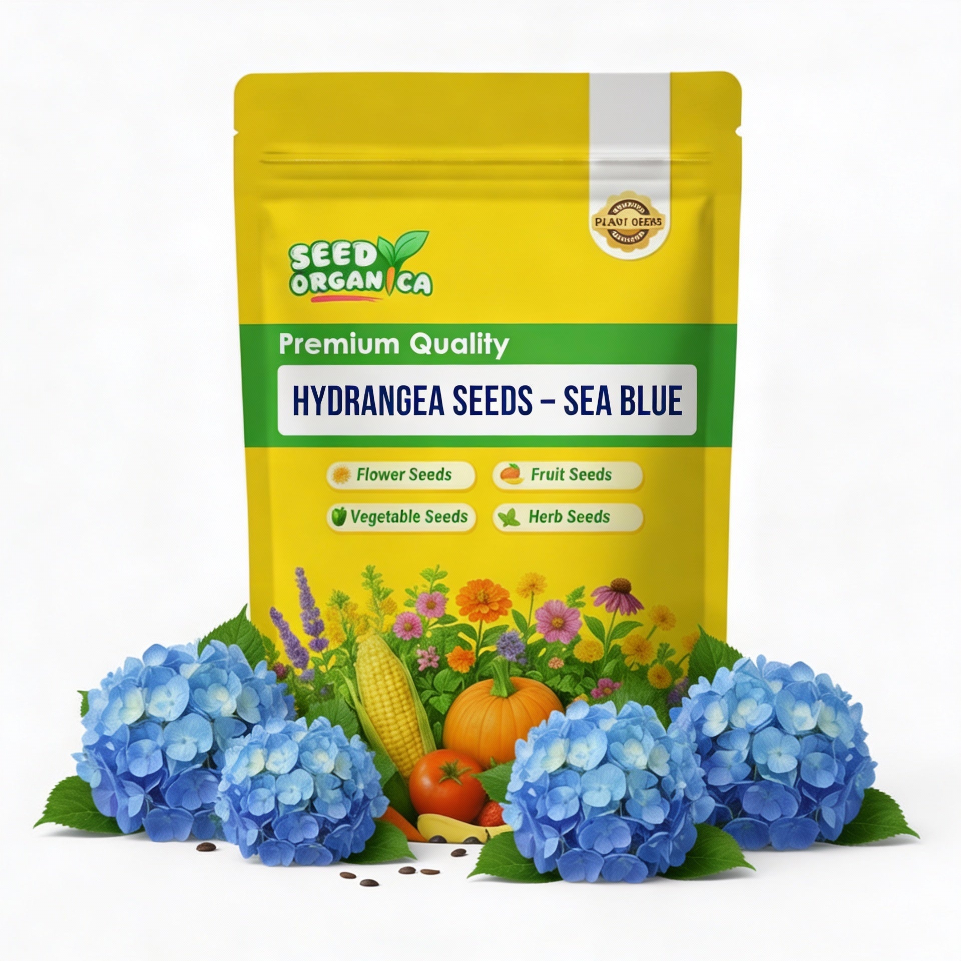 Hydrangea Seeds – Sea Blue