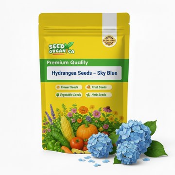 Hydrangea Seeds – Sky Blue