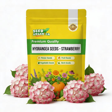 Hydrangea Seeds – Strawberry