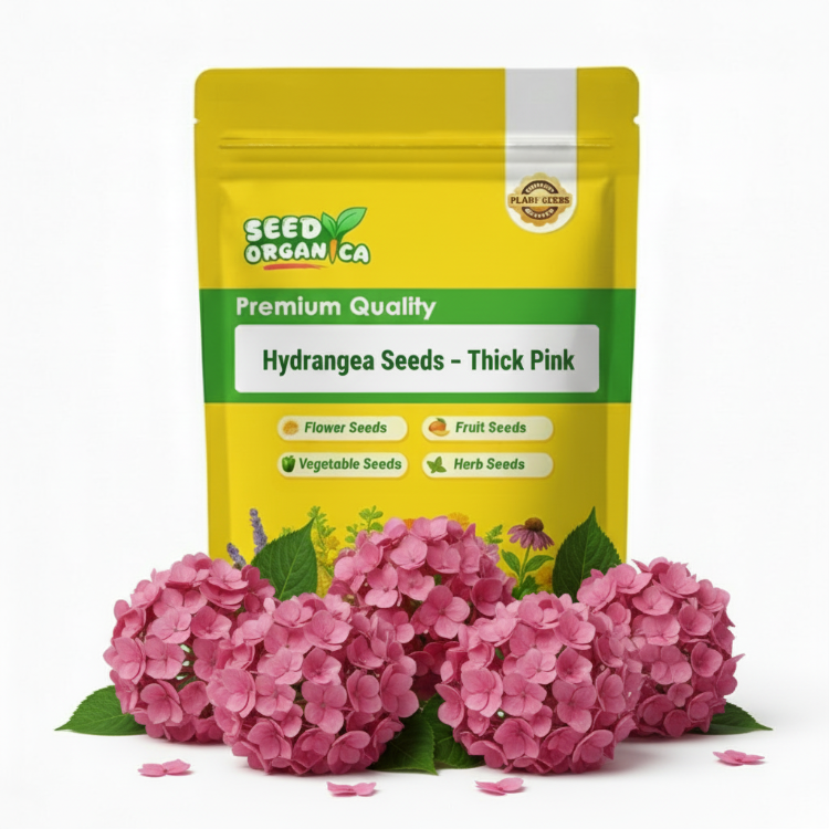 Hydrangea Seeds – Thick Pink