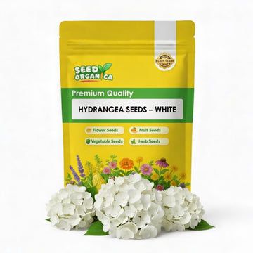 Hydrangea Seeds – White