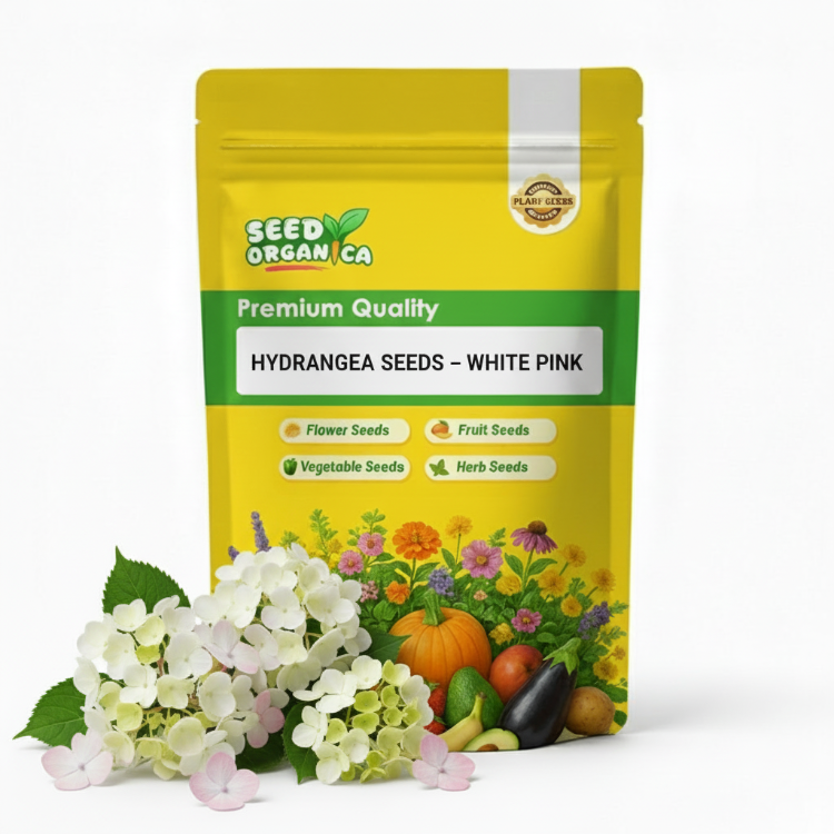 Hydrangea Seeds – White Pink