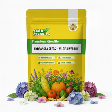 Hydrangea Seeds – Wildflower Mix