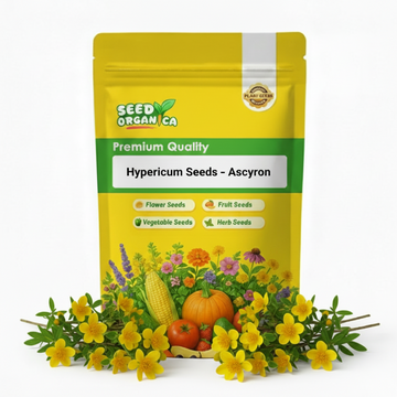 Hypericum Seeds – Ascyron