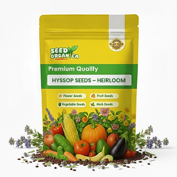 Hyssop Seeds – Heirloom