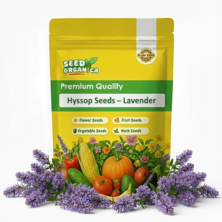 Hyssop Seeds – Lavender