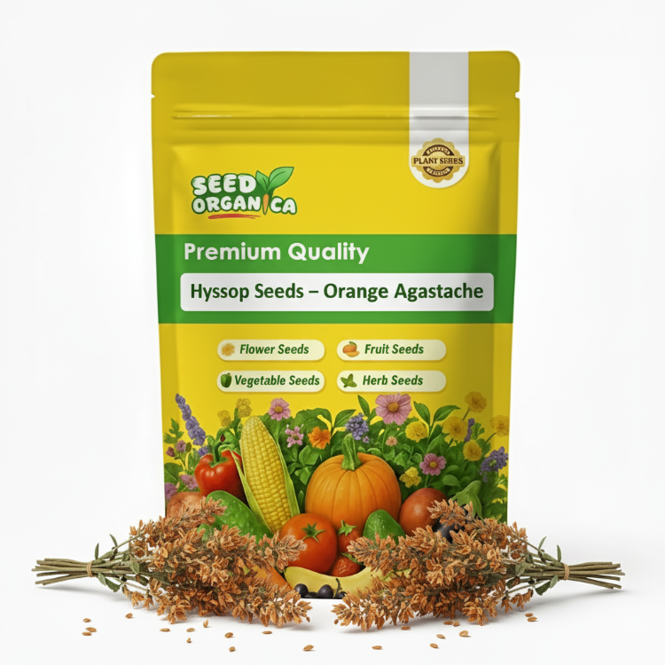 Hyssop Seeds – Orange Agastache