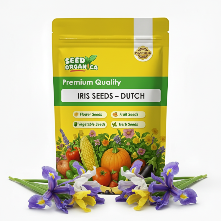 Iris Seeds – Dutch