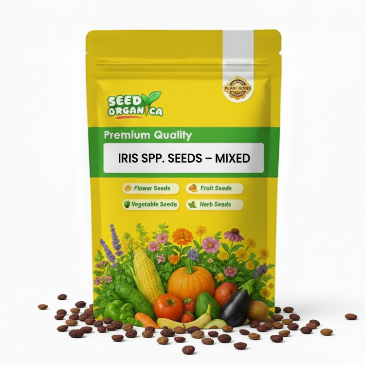Iris spp. Seeds – Mixed