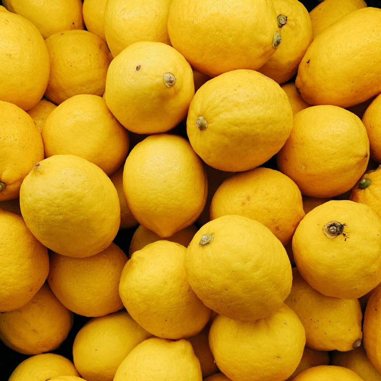 Italian Amalfi Lemon Seeds - Fruit Plant