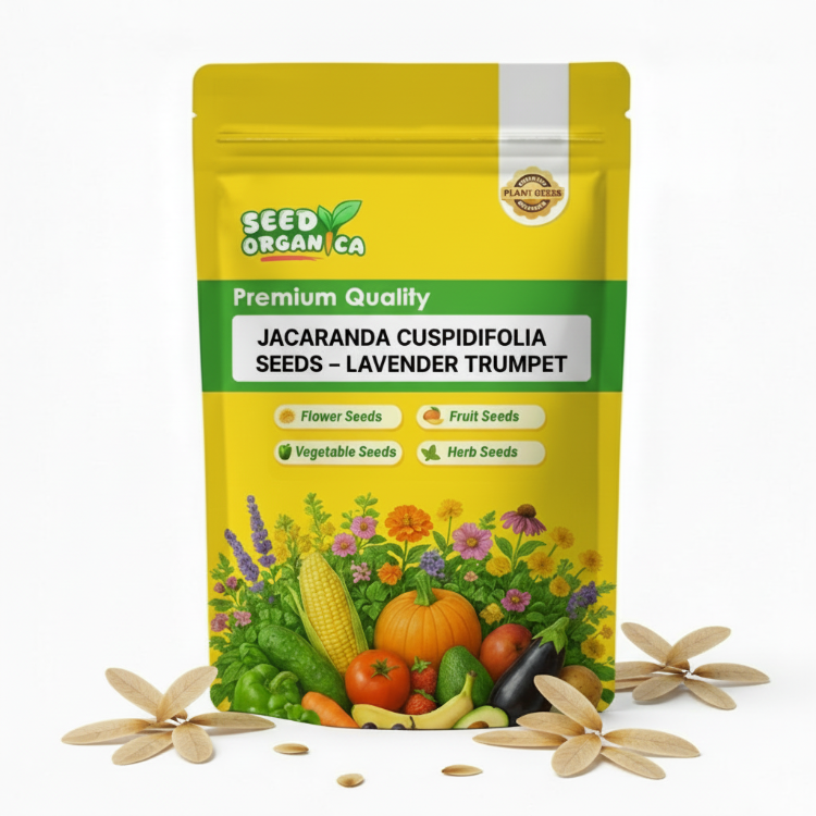 Jacaranda Cuspidifolia Seeds – Lavender Trumpet