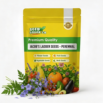 Jacob's Ladder Seeds – Perennial