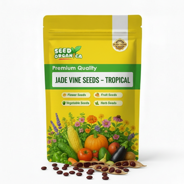 Jade Vine Seeds – Tropical