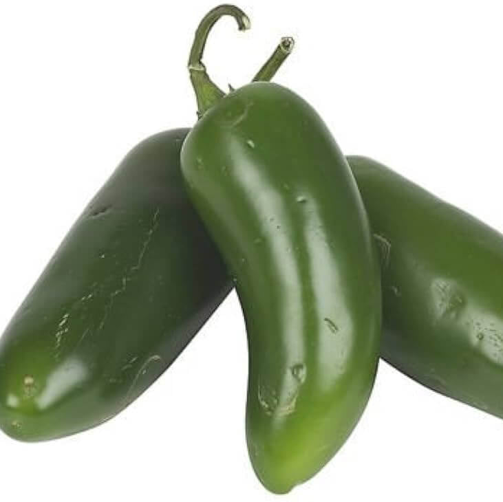 Jalapeño Seeds – Capsicum annuum