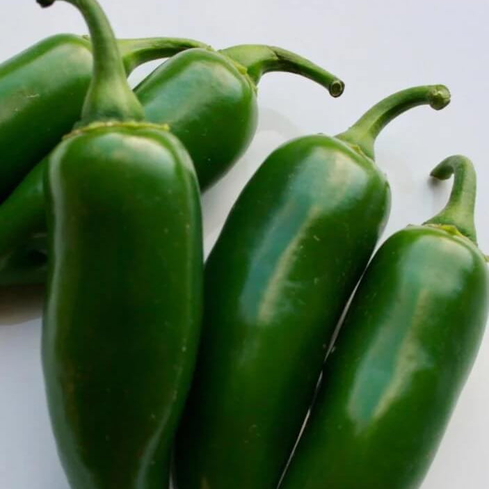Jalapeño Seeds – Capsicum annuum