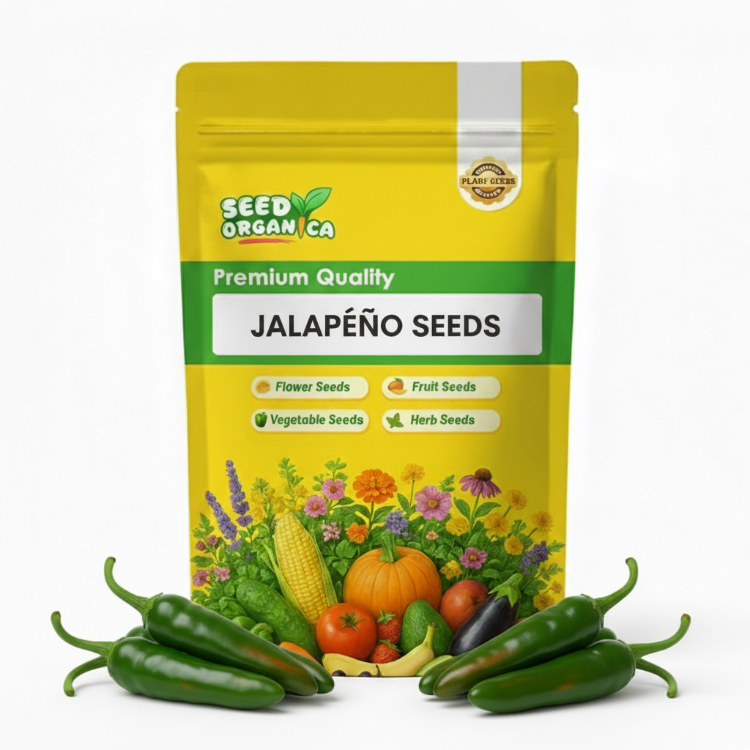 Jalapeño Seeds