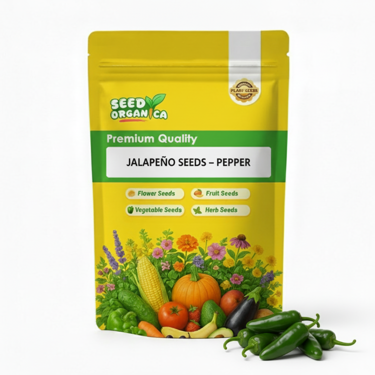 Jalapeño Seeds – Pepper